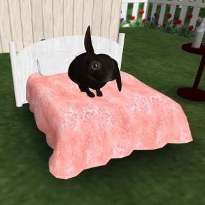 Bunnymoon Suite bed